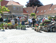 Torvedag i Faaborg